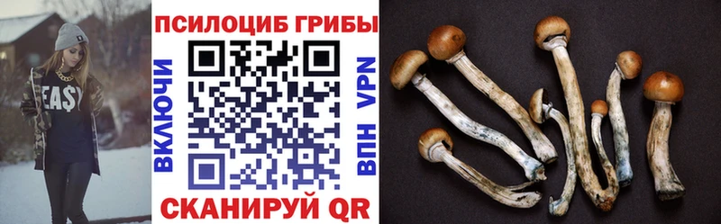 Псилоцибиновые грибы мицелий Алдан